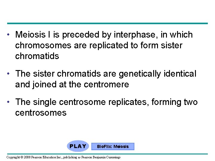  • Meiosis I is preceded by interphase, in which chromosomes are replicated to