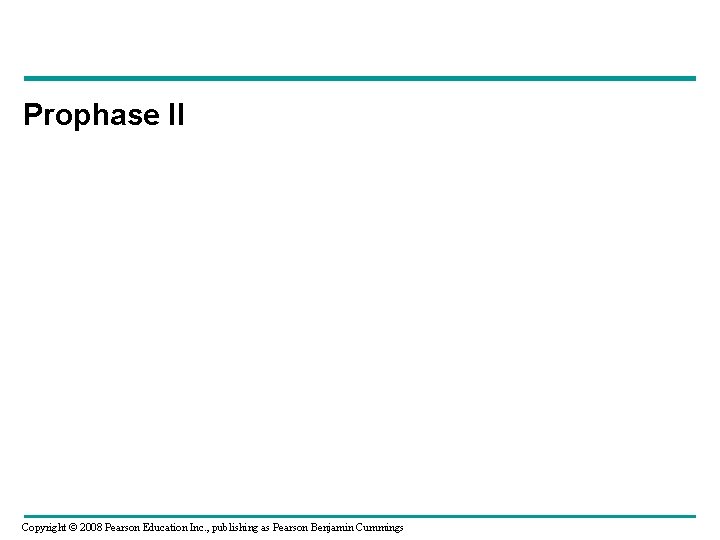 Prophase II Copyright © 2008 Pearson Education Inc. , publishing as Pearson Benjamin Cummings