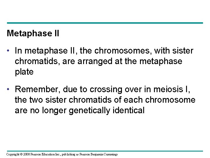Metaphase II • In metaphase II, the chromosomes, with sister chromatids, are arranged at