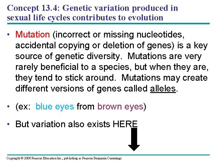 Concept 13. 4: Genetic variation produced in sexual life cycles contributes to evolution •