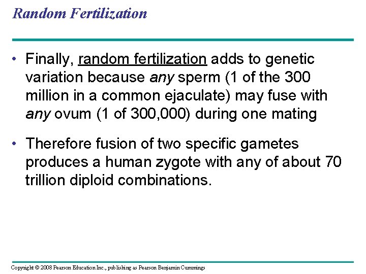 Random Fertilization • Finally, random fertilization adds to genetic variation because any sperm (1