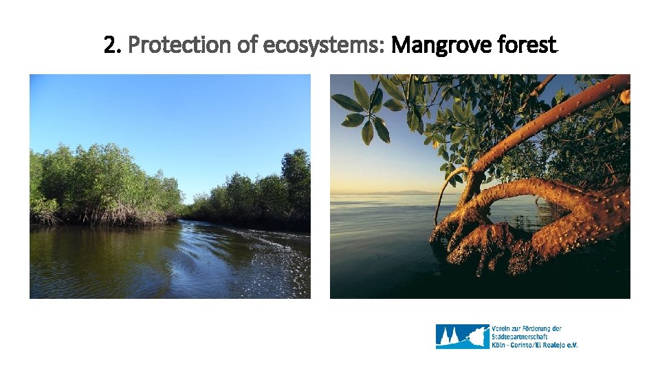 2. Protection of ecosystems: Mangrove forest 