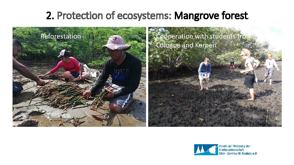 2. Protection of ecosystems: Mangrove forest Reforestation Cooperation with students from Cologne and Kerpen