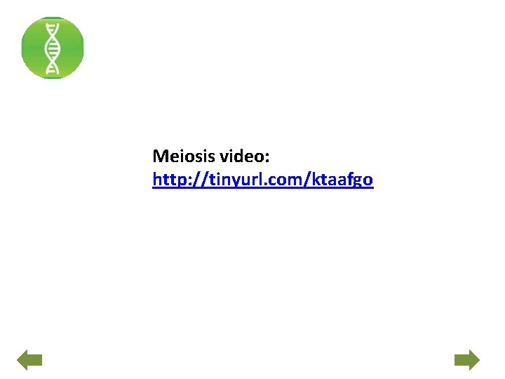 Meiosis video: http: //tinyurl. com/ktaafgo 