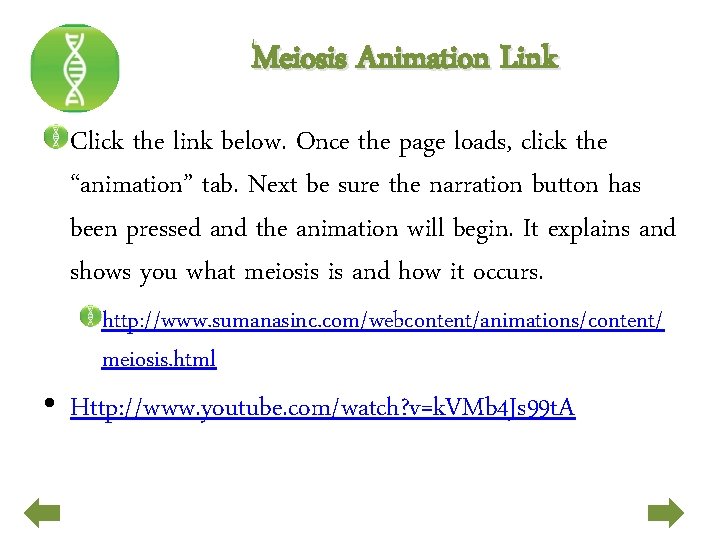 Meiosis Animation Link Click the link below. Once the page loads, click the “animation”