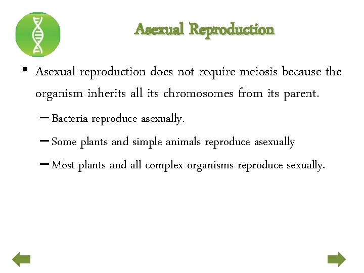 Asexual Reproduction • Asexual reproduction does not require meiosis because the organism inherits all