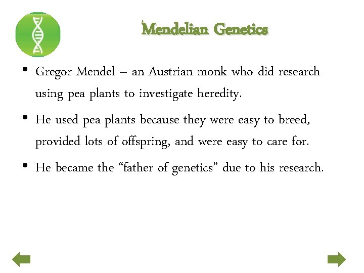 Mendelian Genetics • Gregor Mendel – an Austrian monk who did research using pea