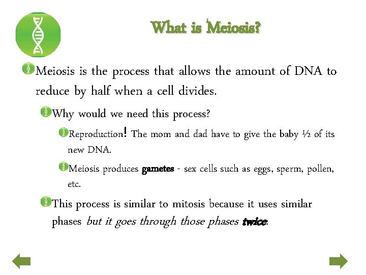 What is Meiosis? Meiosis is the process that allows the amount of DNA to