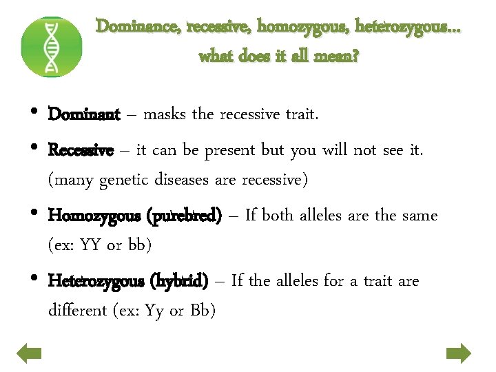 Dominance, recessive, homozygous, heterozygous… what does it all mean? • Dominant – masks the