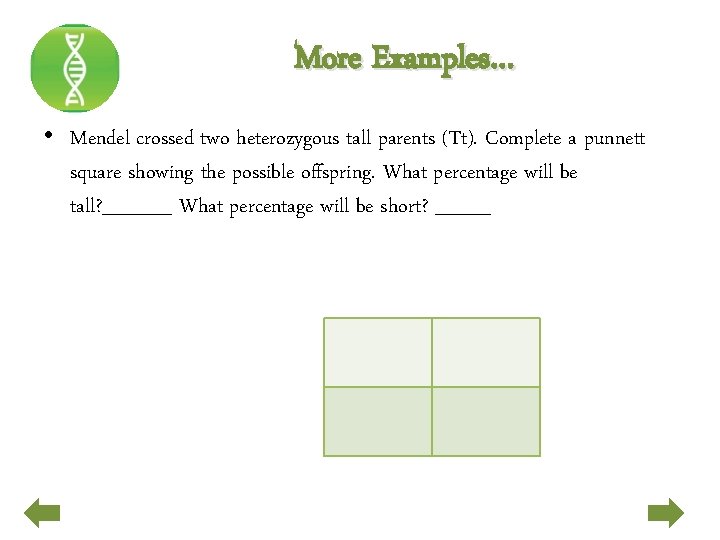 More Examples… • Mendel crossed two heterozygous tall parents (Tt). Complete a punnett square