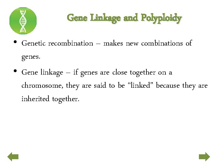 Gene Linkage and Polyploidy • Genetic recombination – makes new combinations of genes. •