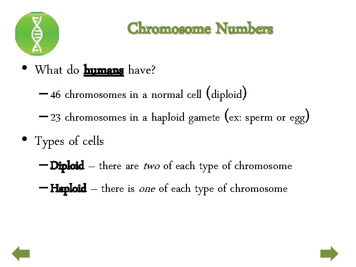 Chromosome Numbers • What do humans have? – 46 chromosomes in a normal cell