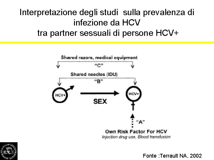 Interpretazione degli studi sulla prevalenza di infezione da HCV tra partner sessuali di persone
