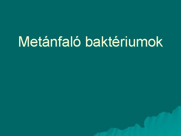 Metánfaló baktériumok 