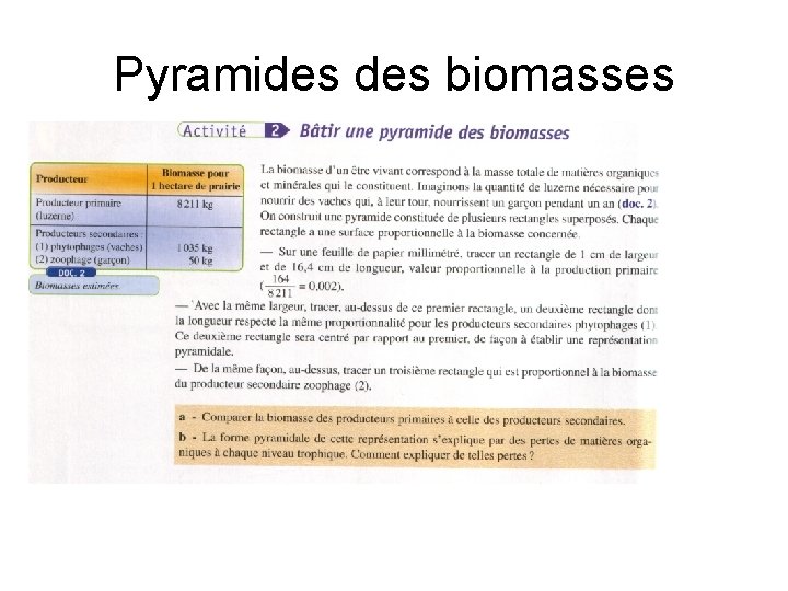 Pyramides biomasses 