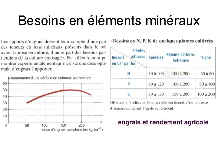 Besoins en éléments minéraux 