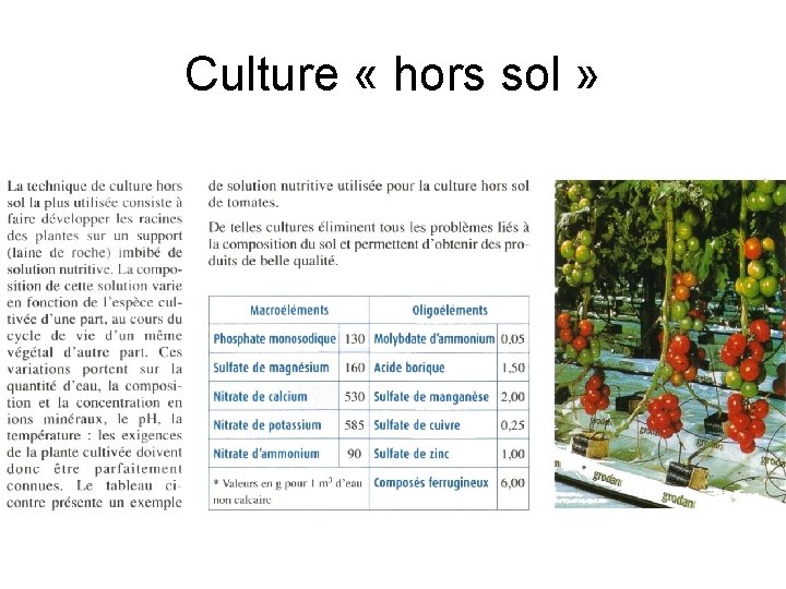 Culture « hors sol » 
