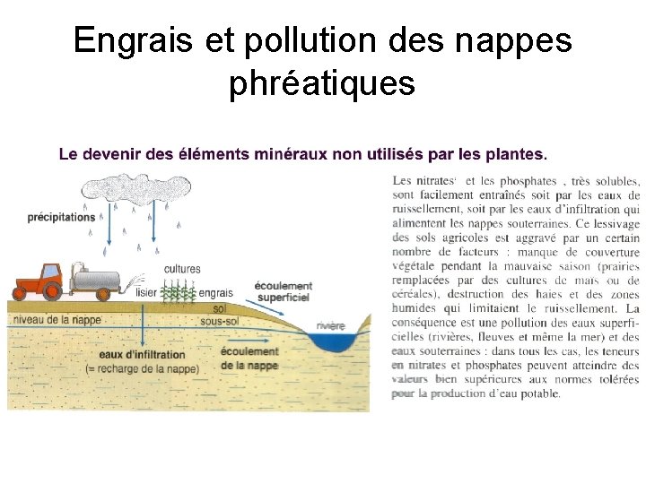 Engrais et pollution des nappes phréatiques 
