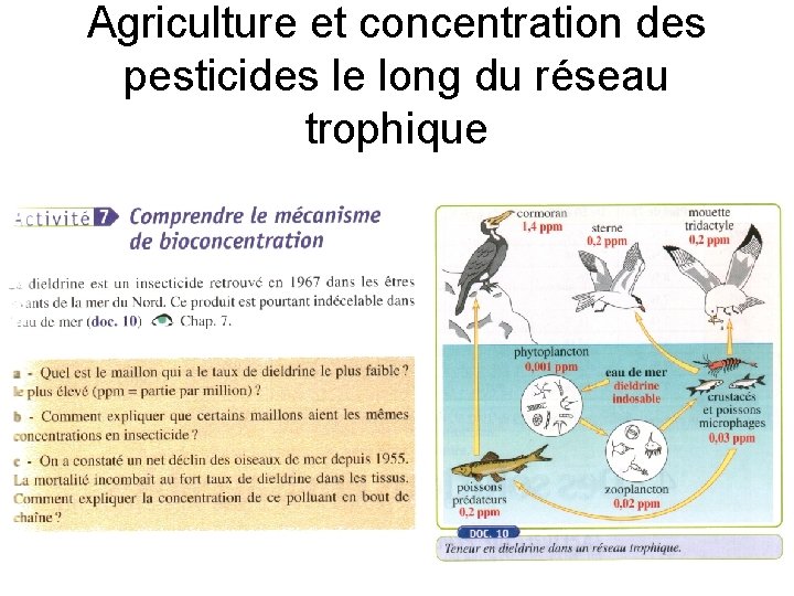 Agriculture et concentration des pesticides le long du réseau trophique 