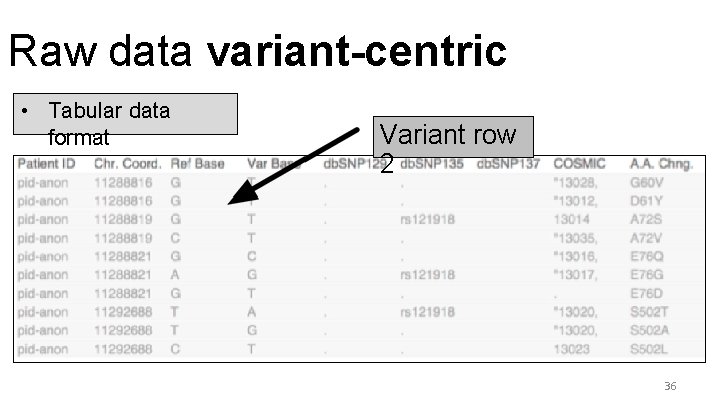 Variant View Visualizing Sequence Variants in their Gene