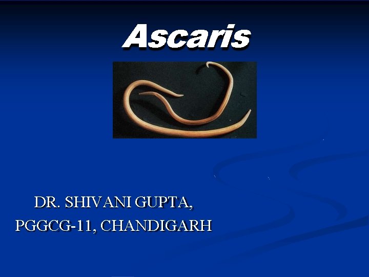 Ascaris DR. SHIVANI GUPTA, PGGCG-11, CHANDIGARH 