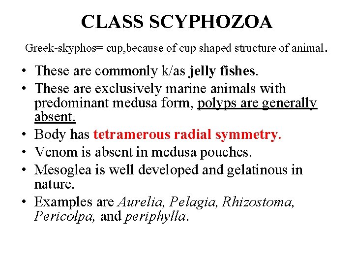 CLASS SCYPHOZOA Greek-skyphos= cup, because of cup shaped structure of animal • These are CLASS SCYPHOZOA Greek-skyphos= cup, because of cup shaped structure of animal • These are