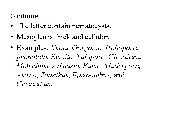 Continue……. . • The latter contain nematocysts. • Mesoglea is thick and cellular. • Continue……. . • The latter contain nematocysts. • Mesoglea is thick and cellular. •