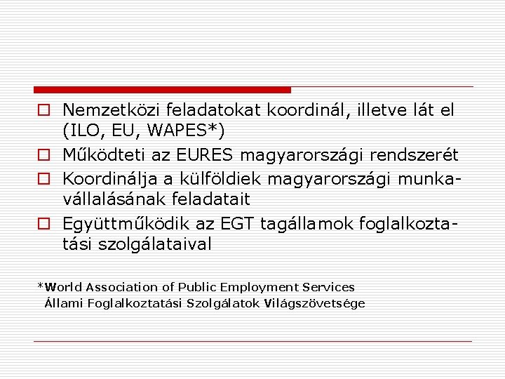 o Nemzetközi feladatokat koordinál, illetve lát el (ILO, EU, WAPES*) o Működteti az EURES