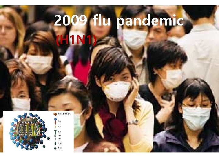 2009 flu pandemic (H 1 N 1) 
