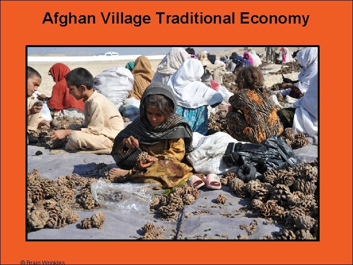 Afghan Village Traditional Economy 