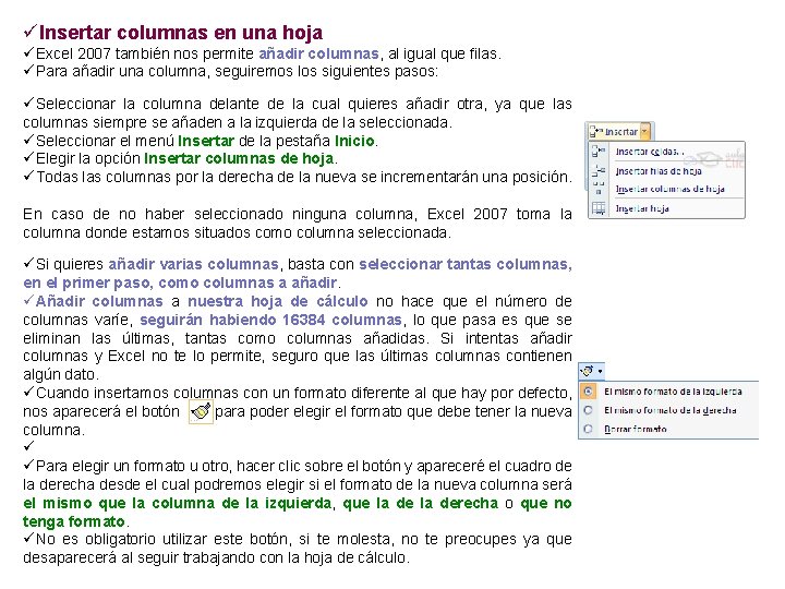 üInsertar columnas en una hoja üExcel 2007 también nos permite añadir columnas, al igual