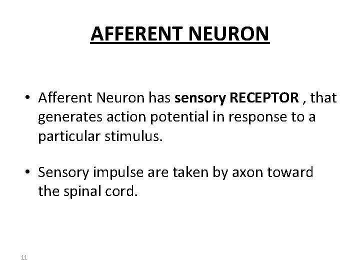 AFFERENT NEURON • Afferent Neuron has sensory RECEPTOR , that generates action potential in