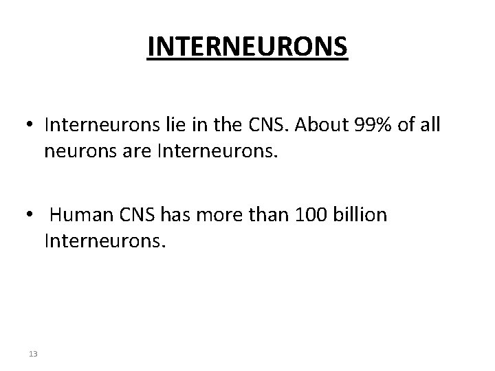 INTERNEURONS • Interneurons lie in the CNS. About 99% of all neurons are Interneurons.