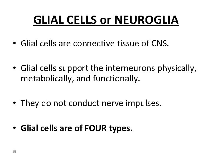 GLIAL CELLS or NEUROGLIA • Glial cells are connective tissue of CNS. • Glial