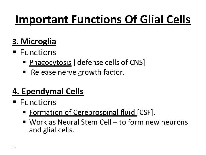 Important Functions Of Glial Cells 3. Microglia § Functions § Phagocytosis [ defense cells