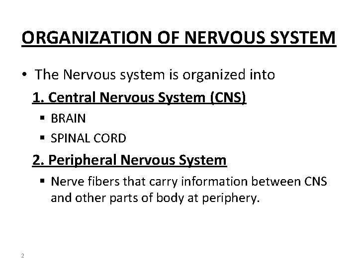 ORGANIZATION OF NERVOUS SYSTEM • The Nervous system is organized into 1. Central Nervous