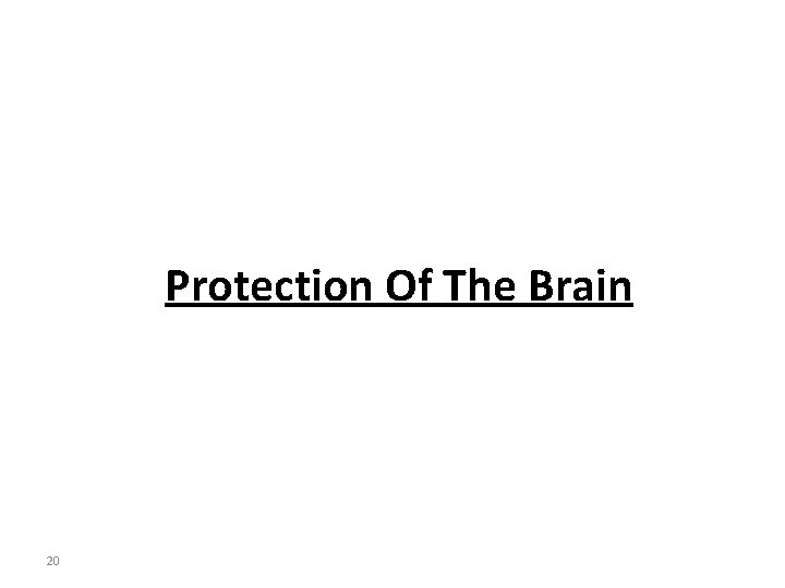 Protection Of The Brain 20 
