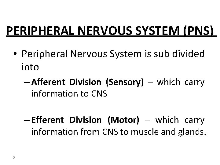 PERIPHERAL NERVOUS SYSTEM (PNS) • Peripheral Nervous System is sub divided into – Afferent