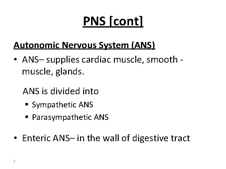 PNS [cont] Autonomic Nervous System (ANS) • ANS– supplies cardiac muscle, smooth muscle, glands.