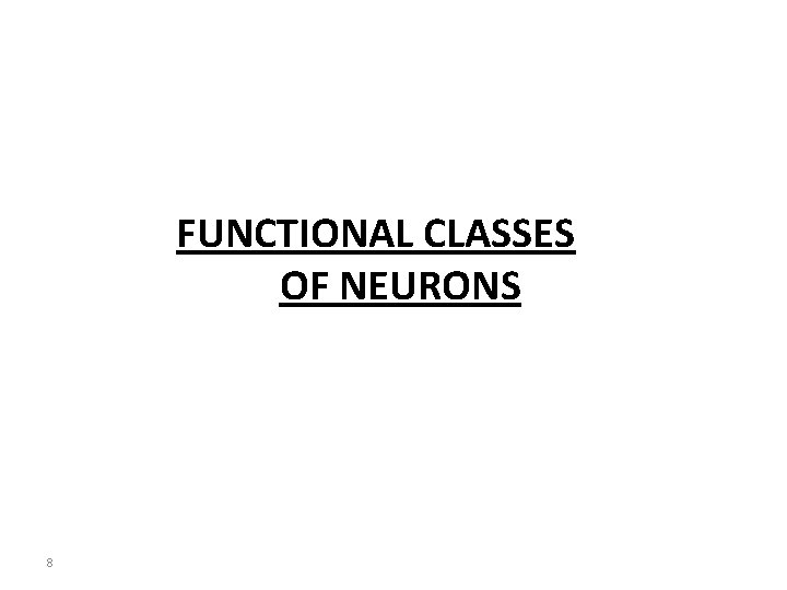 FUNCTIONAL CLASSES OF NEURONS 8 