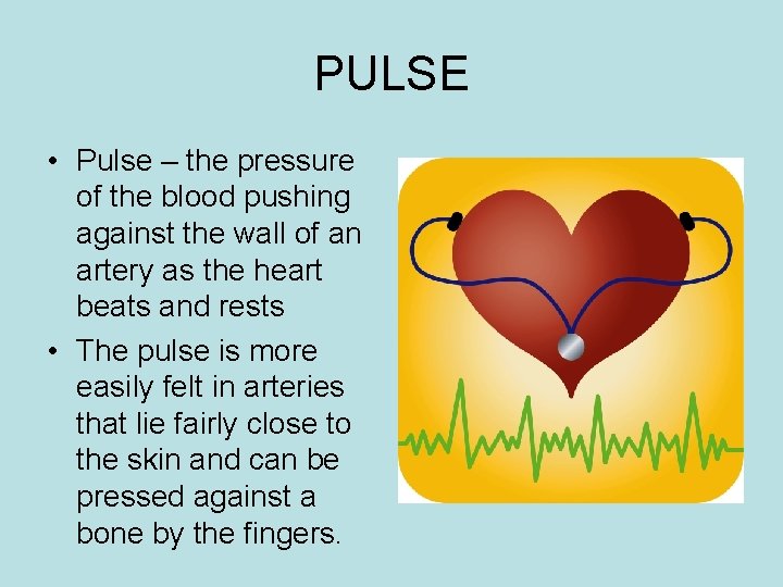 PULSE • Pulse – the pressure of the blood pushing against the wall of