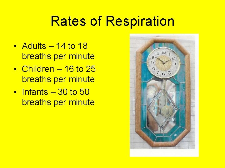 Rates of Respiration • Adults – 14 to 18 breaths per minute • Children