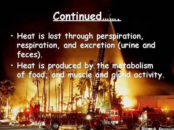 Continued……. • Heat is lost through perspiration, respiration, and excretion (urine and feces). •