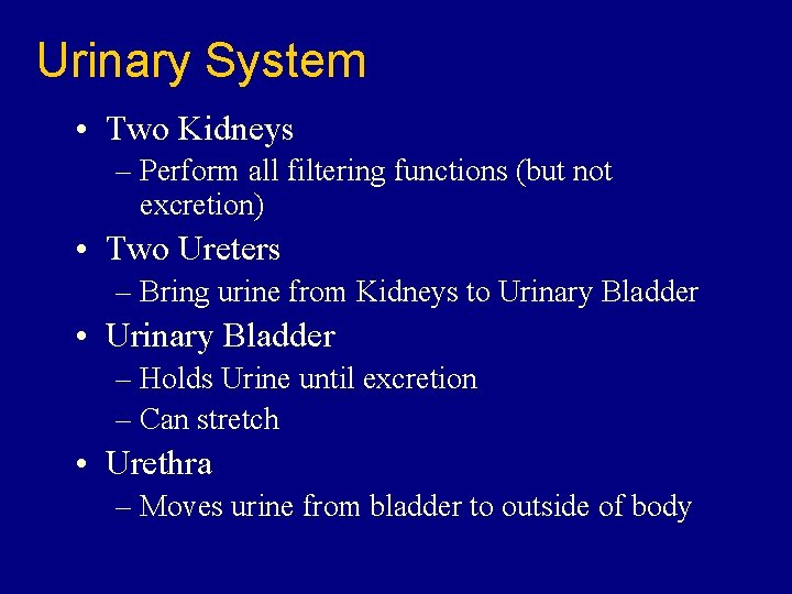 Urinary System • Two Kidneys – Perform all filtering functions (but not excretion) •