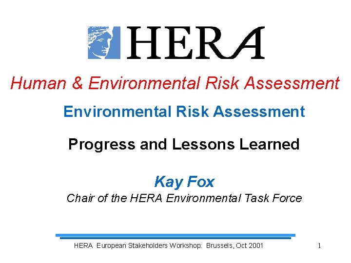 Human & Environmental Risk Assessment Progress and Lessons Learned Kay Fox Chair of the