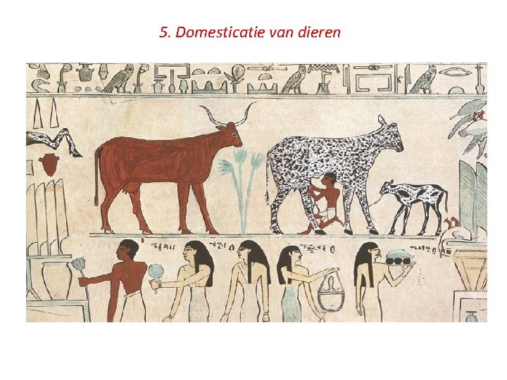 5. Domesticatie van dieren 