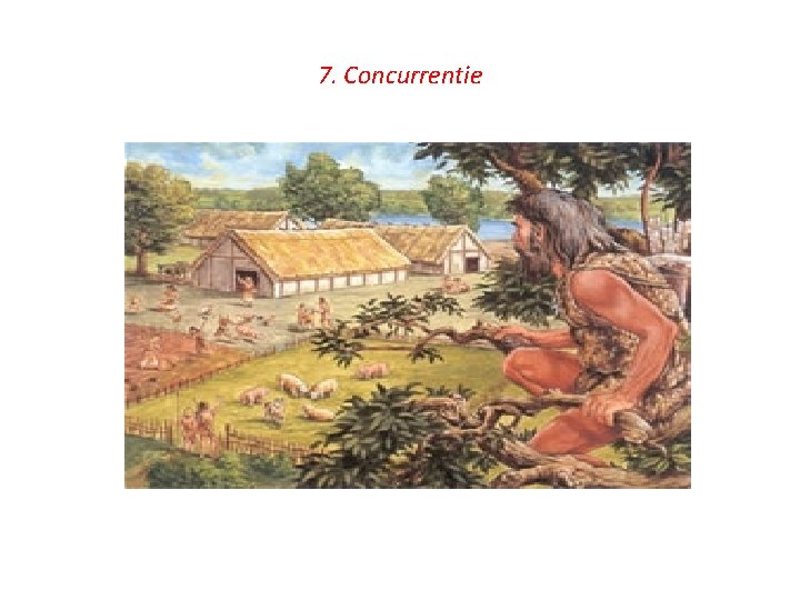 7. Concurrentie 