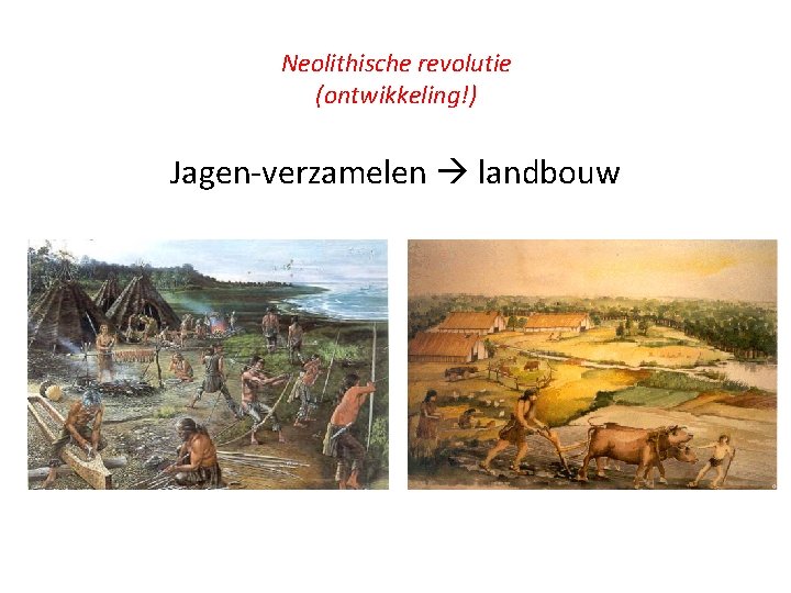 Neolithische revolutie (ontwikkeling!) Jagen-verzamelen landbouw 