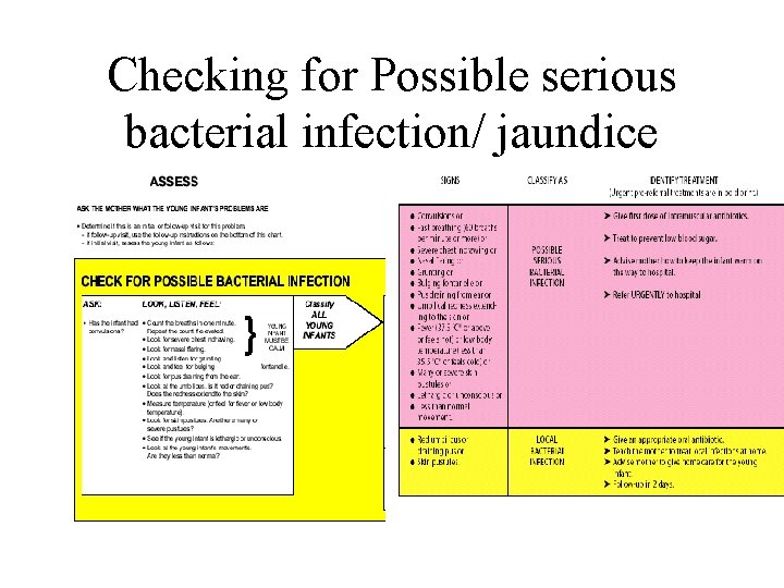 Checking for Possible serious bacterial infection/ jaundice 