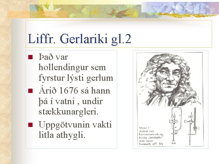 Liffr. Gerlariki gl. 2 n n n Það var hollendingur sem fyrstur lýsti gerlum Liffr. Gerlariki gl. 2 n n n Það var hollendingur sem fyrstur lýsti gerlum